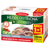 TEREZIA Hlva stin+lactob. cps. 60+60 AKCE 1+1